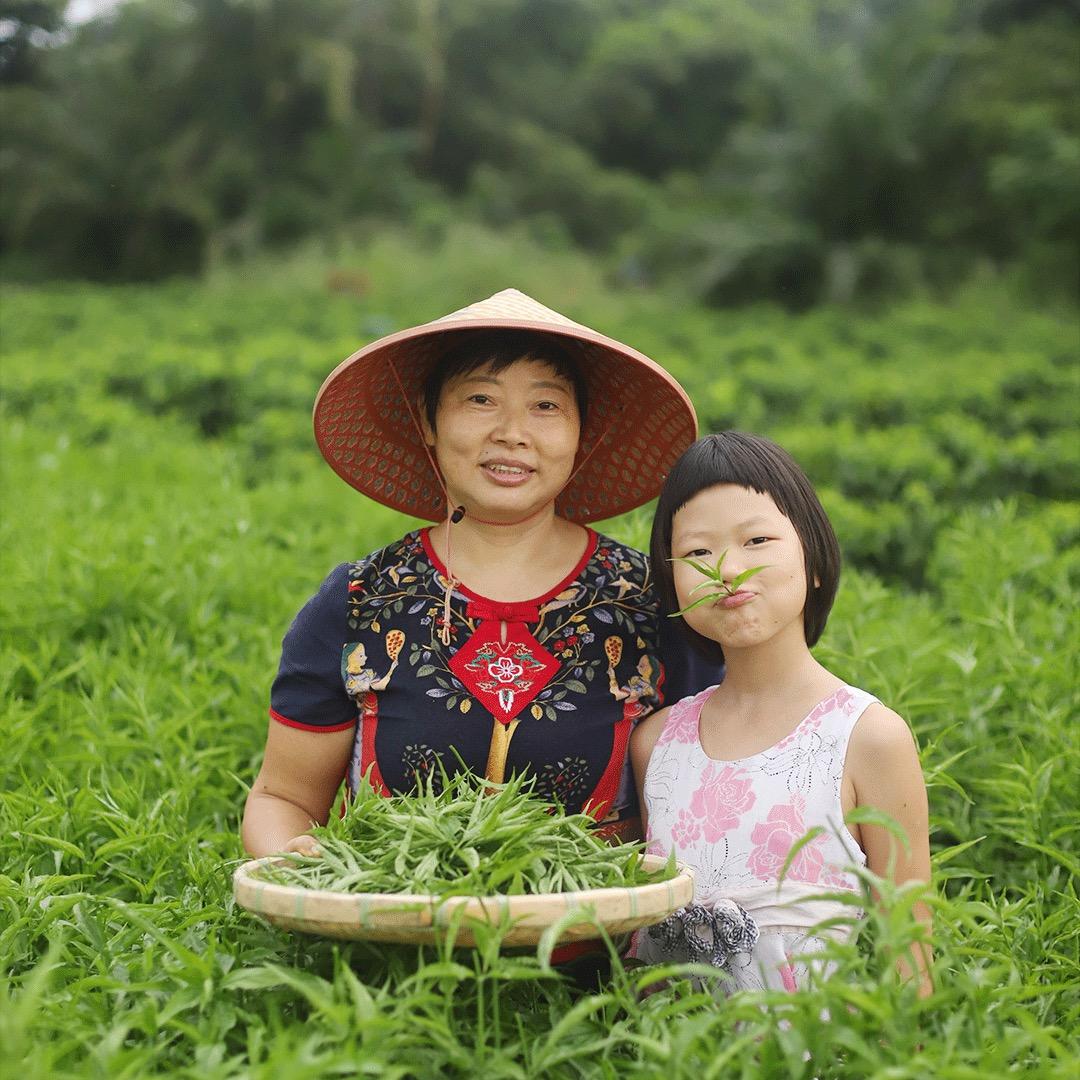 野菜皇后