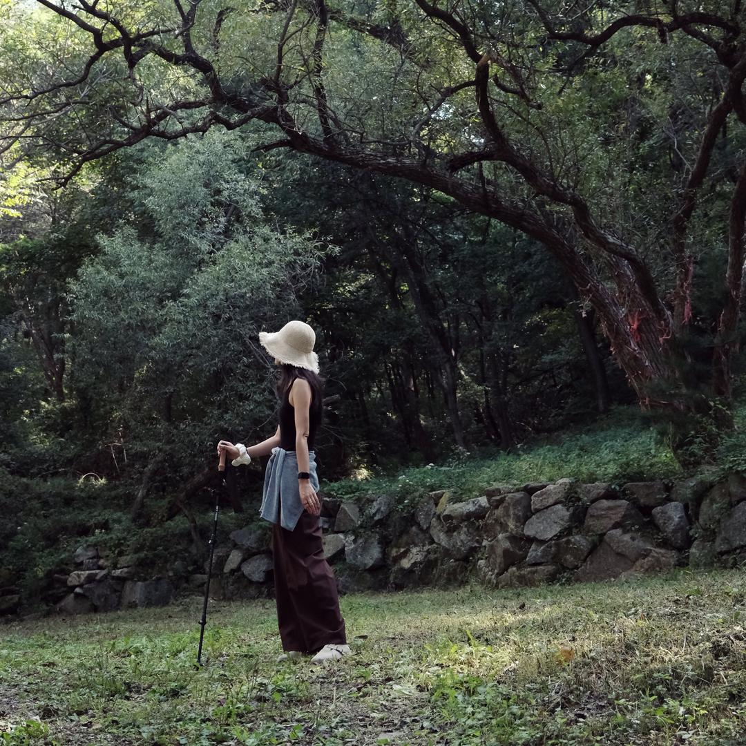 🌰橡子露营日记🏕️Camping