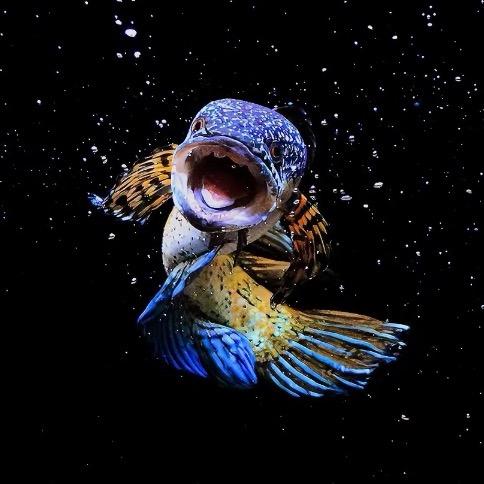 昆明臻龙堂雷龙馆