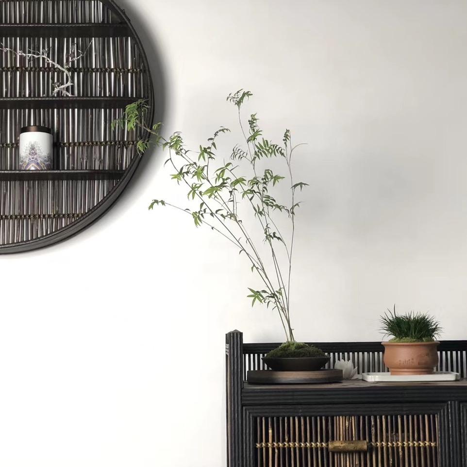 缘来汪汪茶器