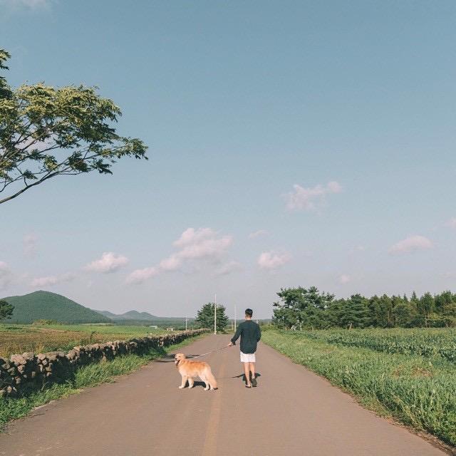 车骑旮旯爬爬将军