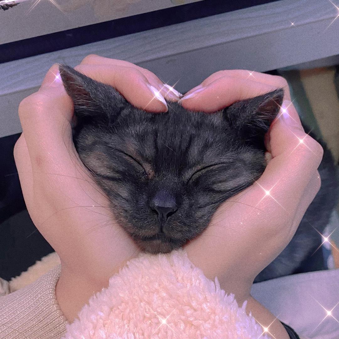 柠檬🍋