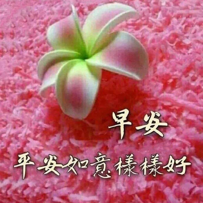 宫喜发财