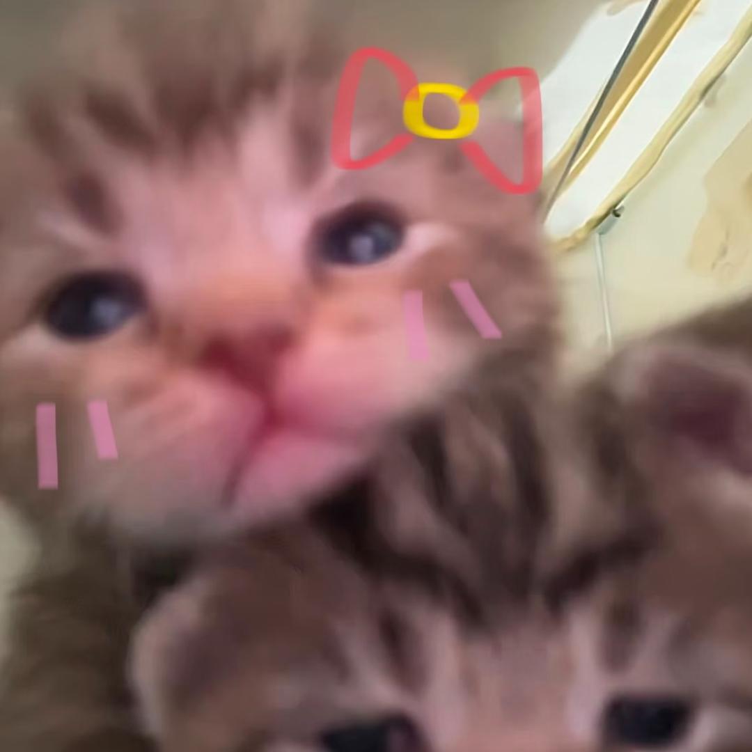 火鸡面梦女^
