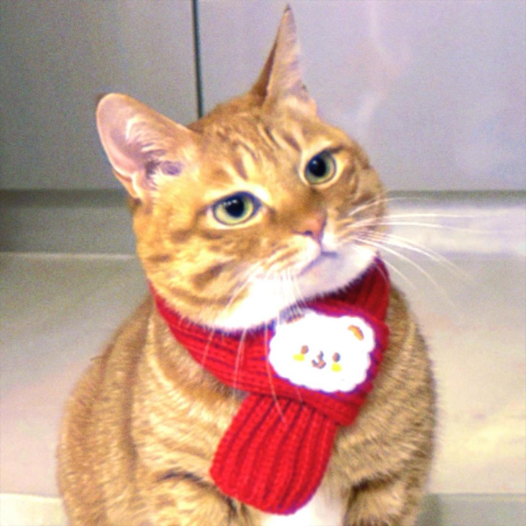 一打橘子水_（见过aespa版）