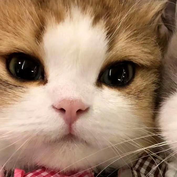 就爱吃点小垃圾