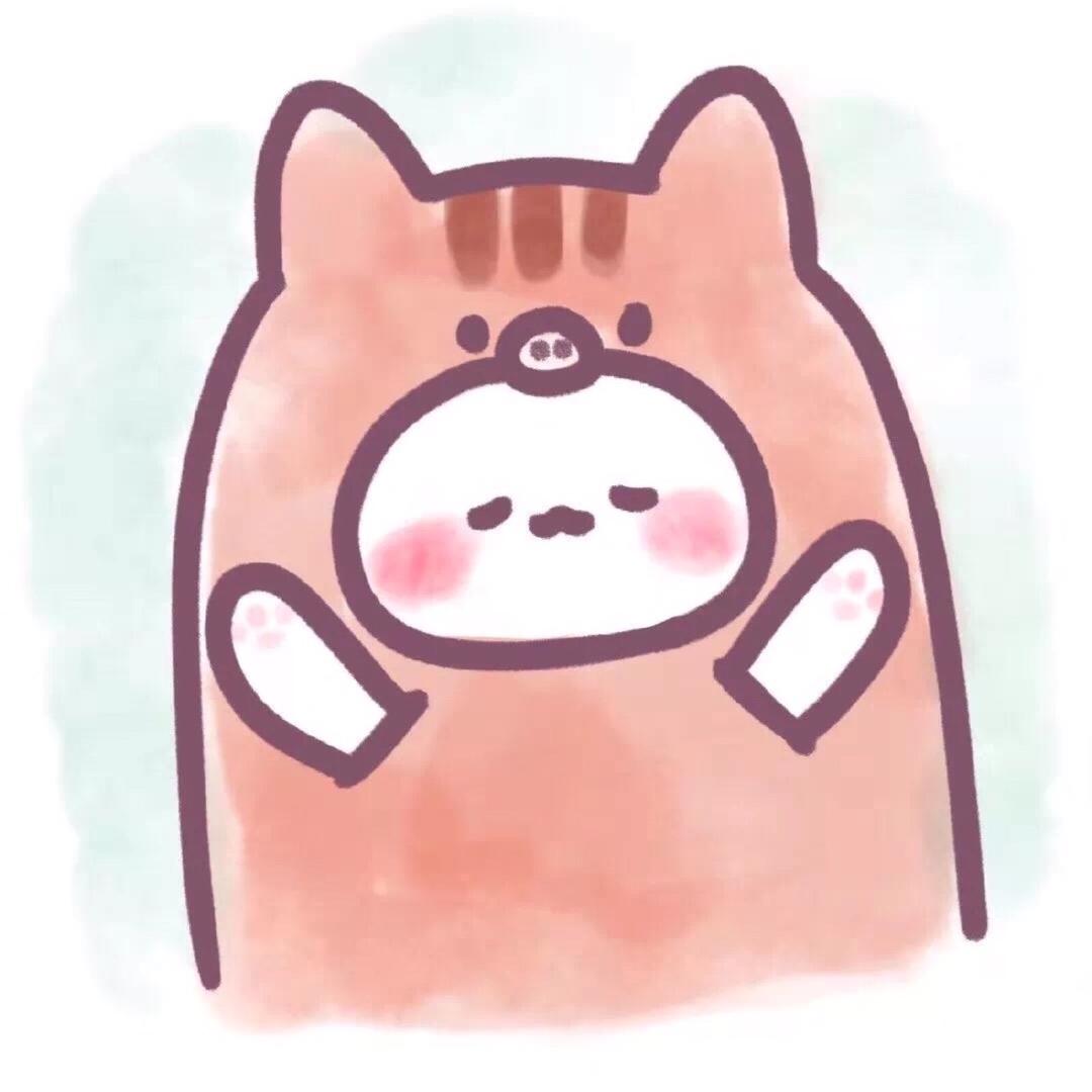 猫猫🐱【肇庆优惠】🐱