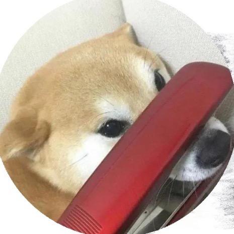 阿呆🐶