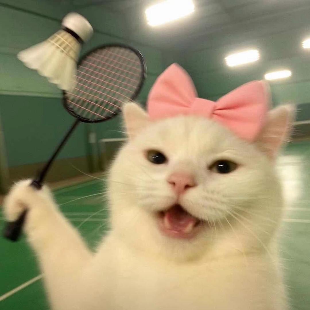 🌸🌸