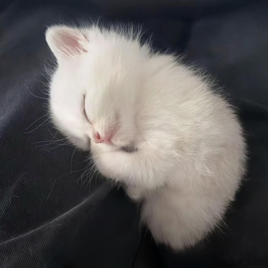 我知道我很可爱