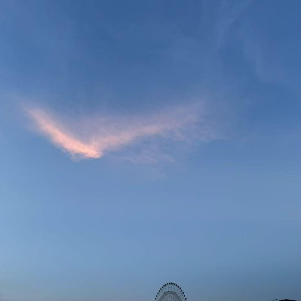 WX