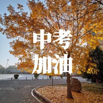 大成学习甄选