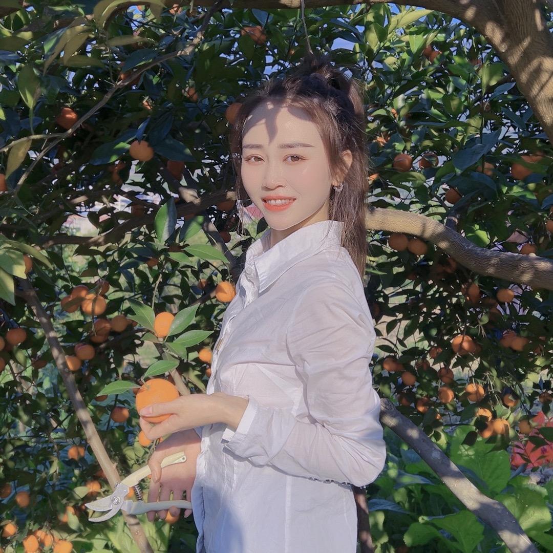 芙蓉「813」