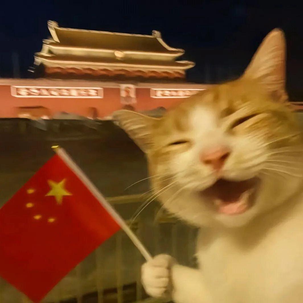 无关风月