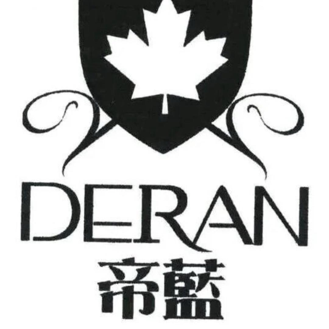 帝蓝网络头像