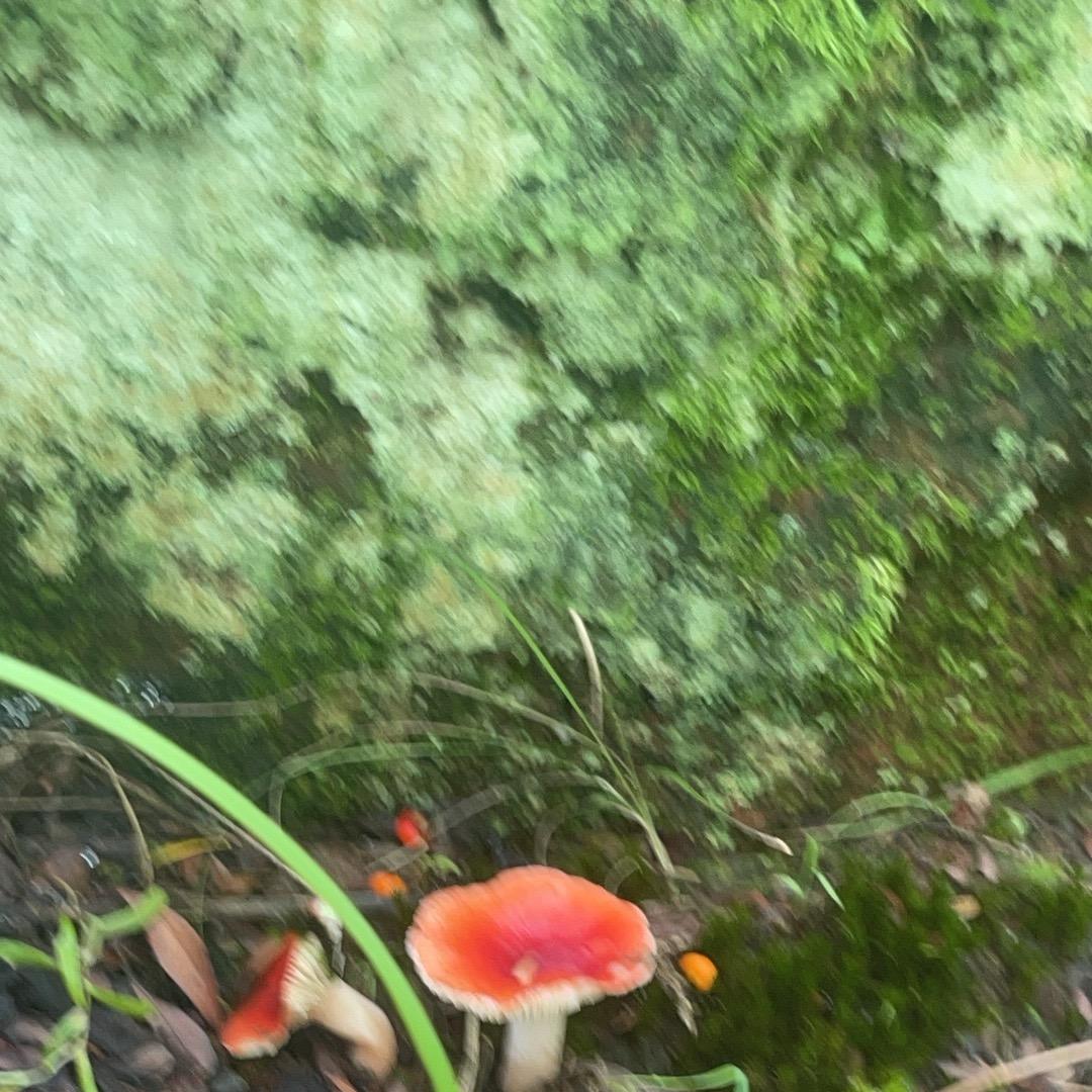 一天两天