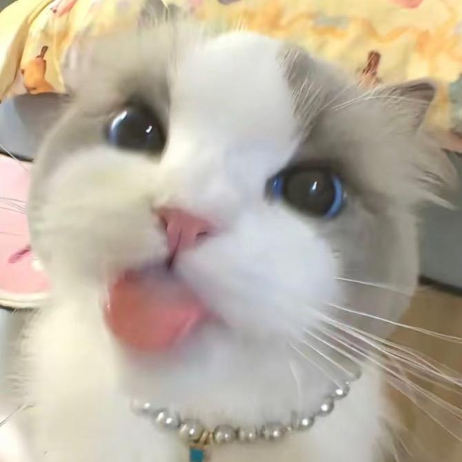 源大头