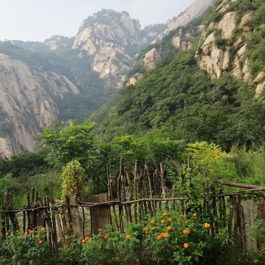 龙城银行的严青墨头像