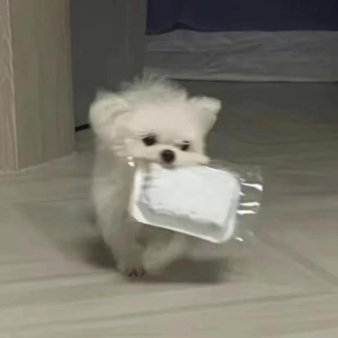 ʟɪᴋ-