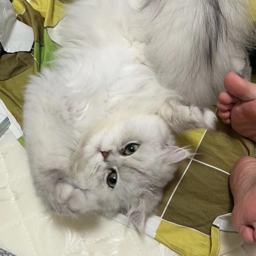 🌞晴天