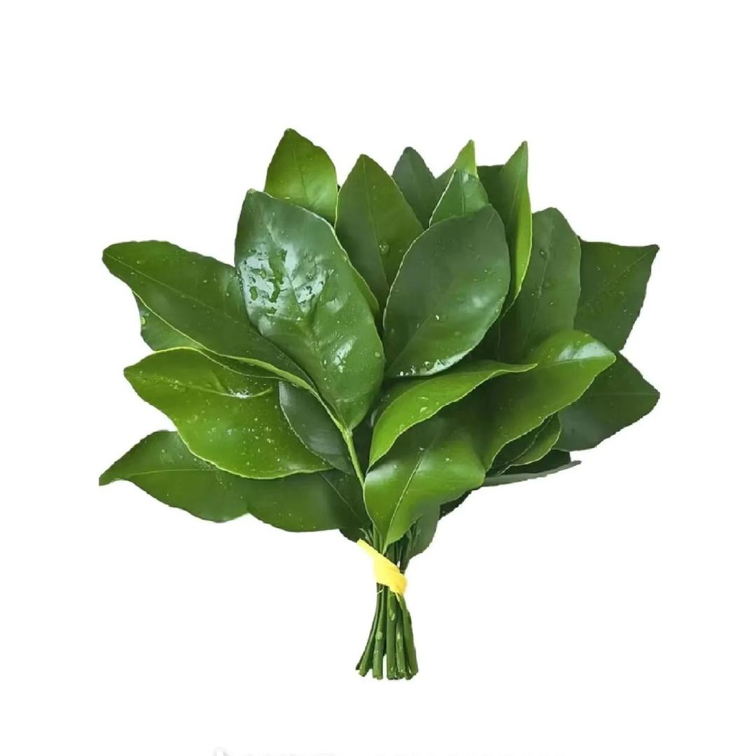 烟火寻常.