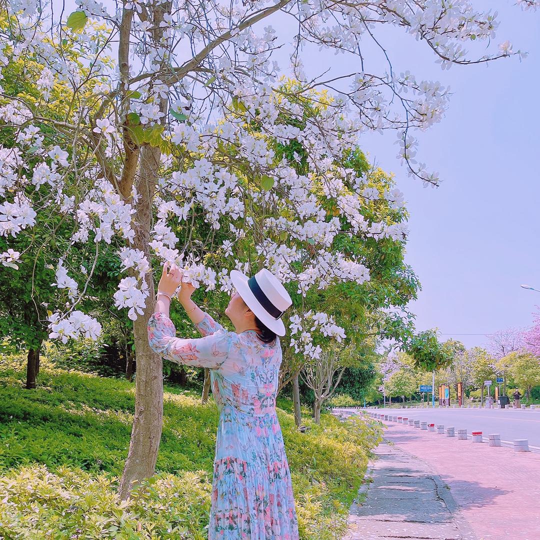 米洛格