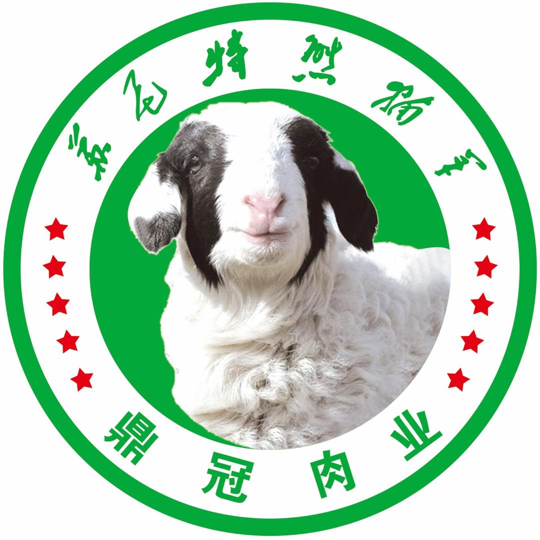鼎冠苏尼特甄选羊