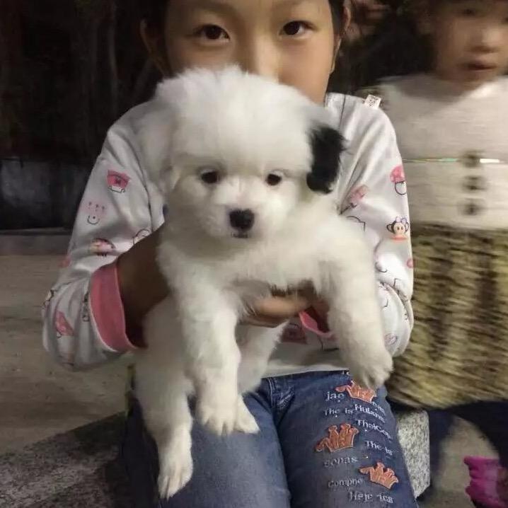 我只有一个圆