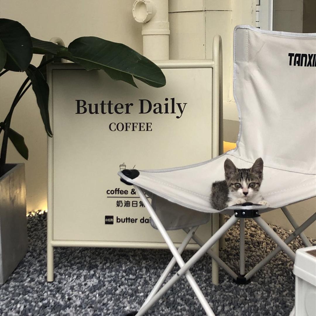 Butter daily奶油日常