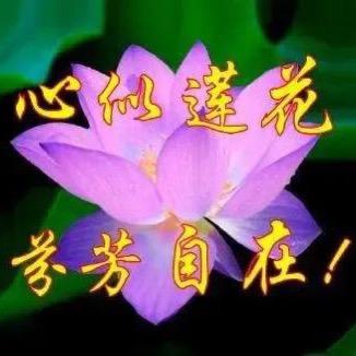 杨婆婆