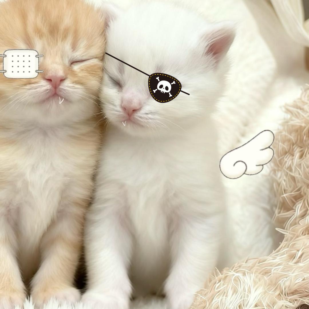 过敏
