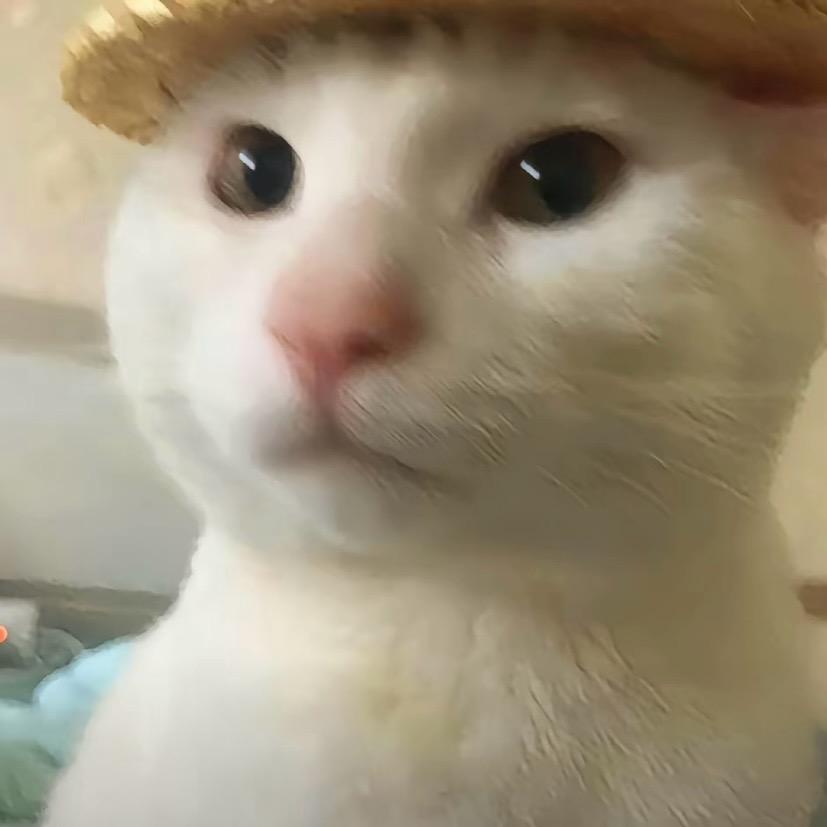 陈鸿大王