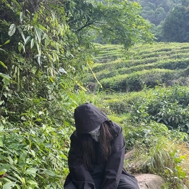 是摆烂姐啊