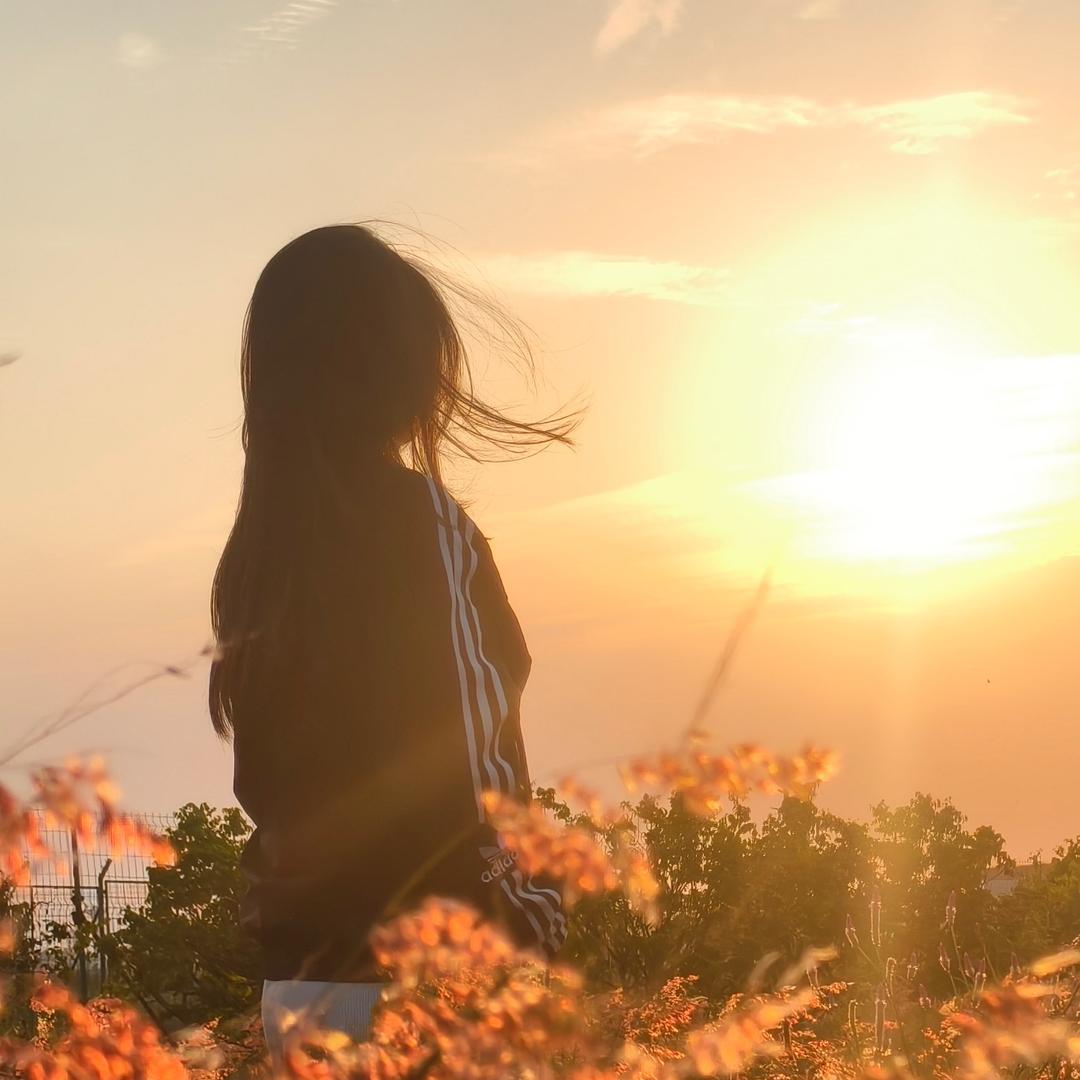 狗骡今天吃什么