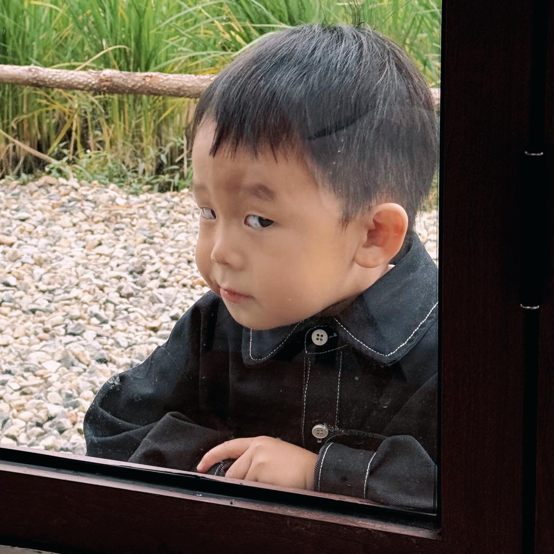 小猪没了志龙🌈