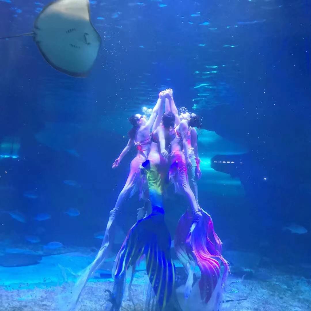 美人鱼日记🐟🐟