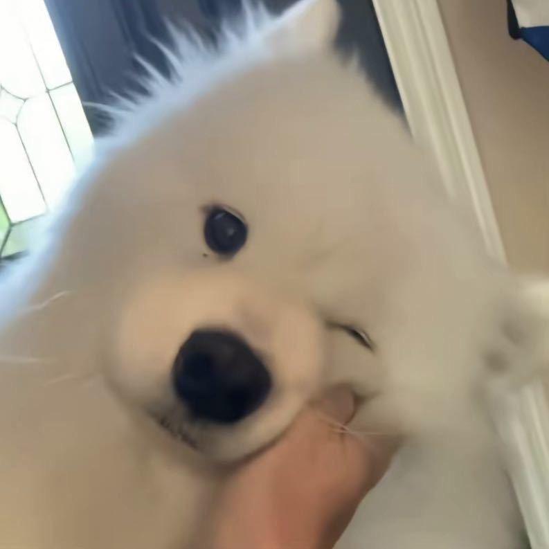 小胖.