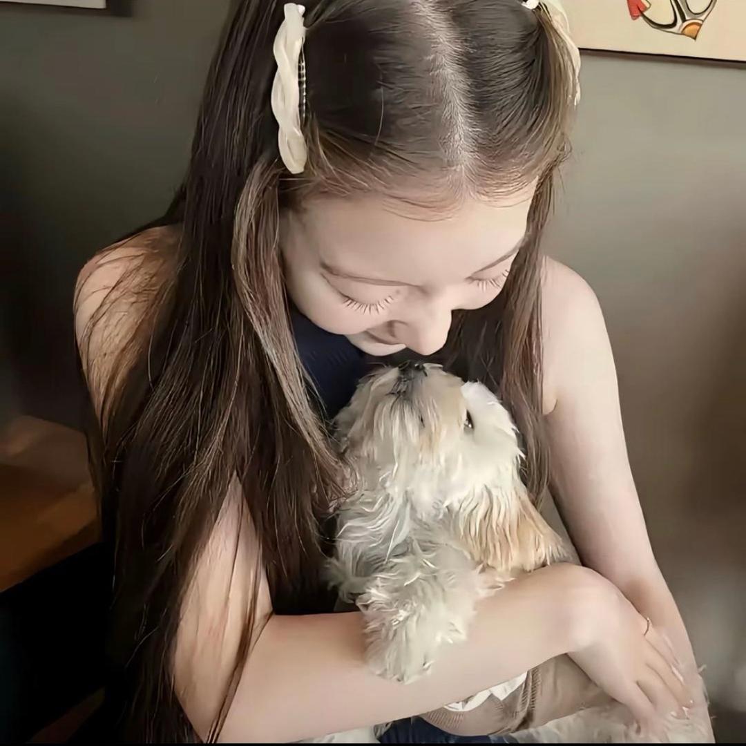 好烦能不能闭嘴