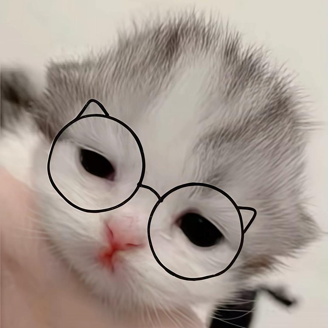 ︋︋ ︋︋ ︋︋ ︋︋ ︋︋ ︋︋曦子