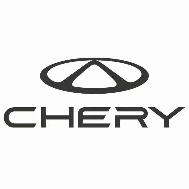 华清奇瑞-王若楠