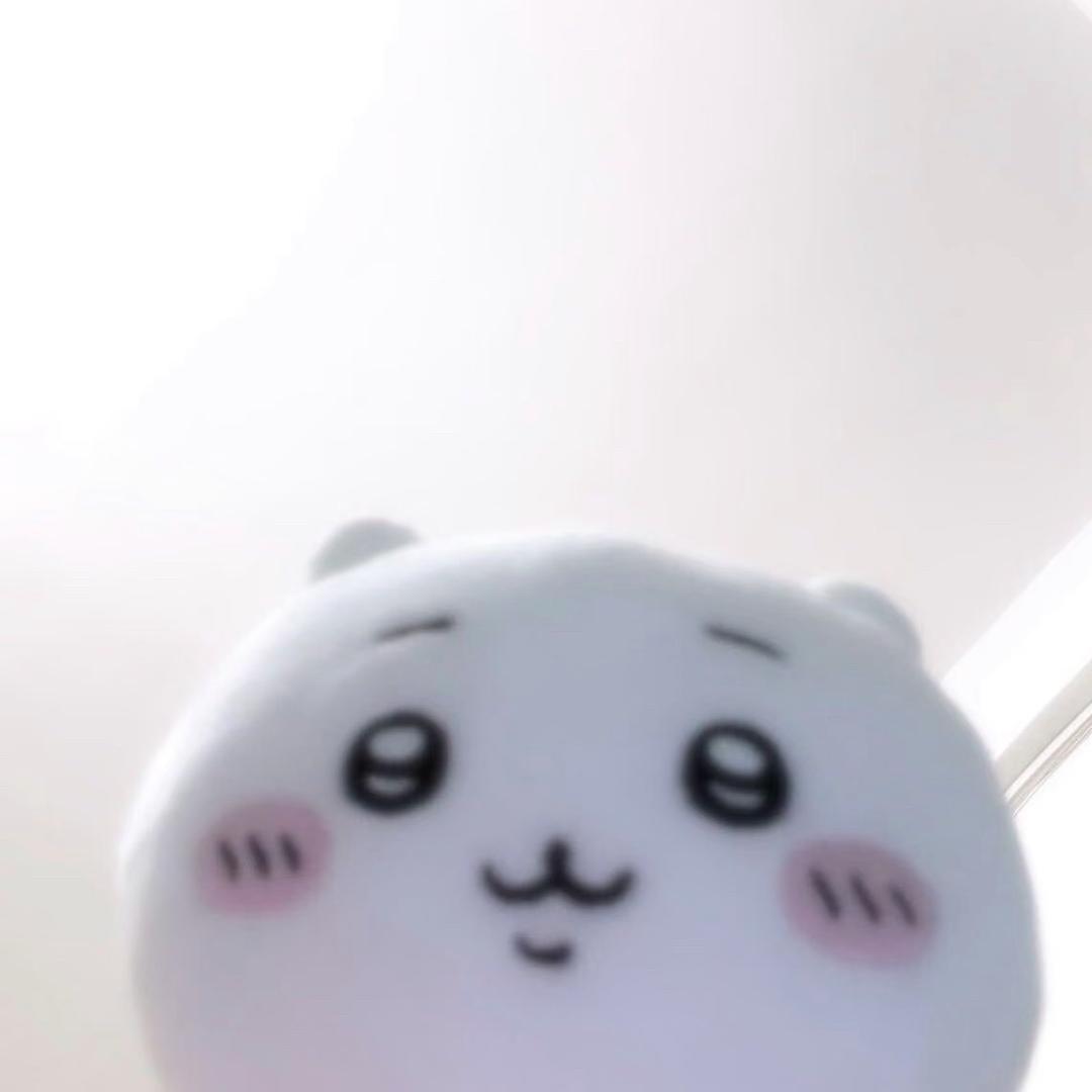 xxiao