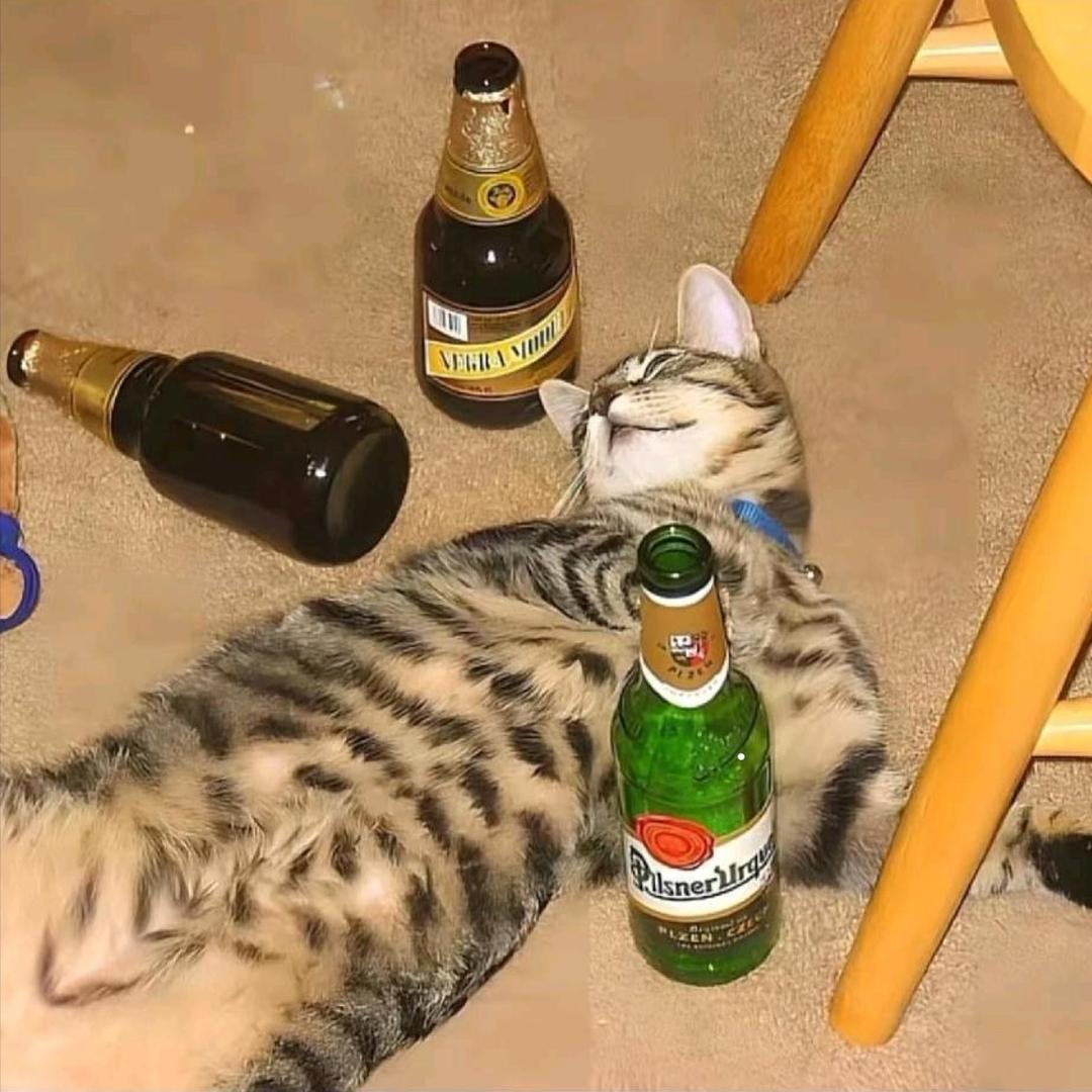 菠萝牛油酥