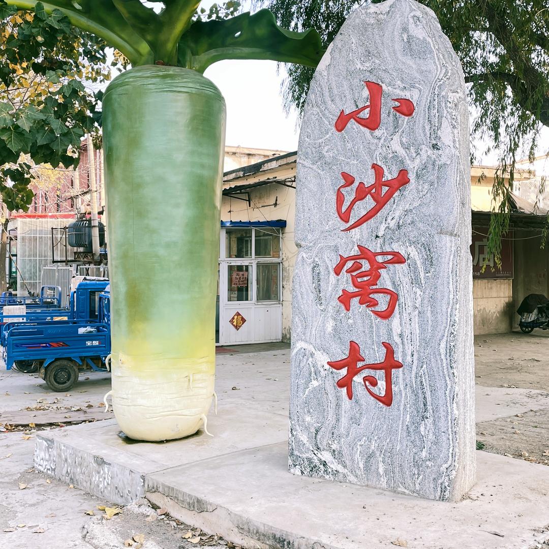 天津阿米沙窝萝卜园