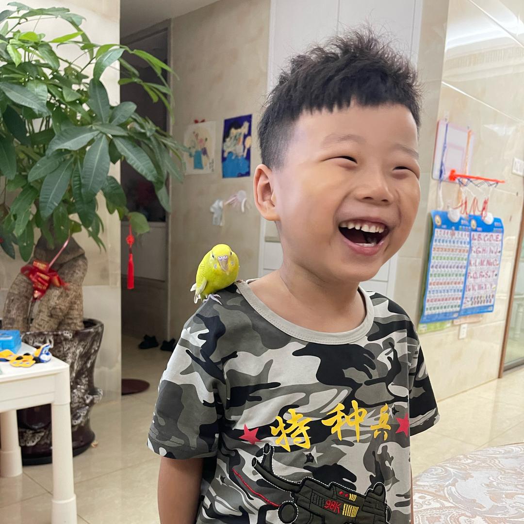 辉机的飞