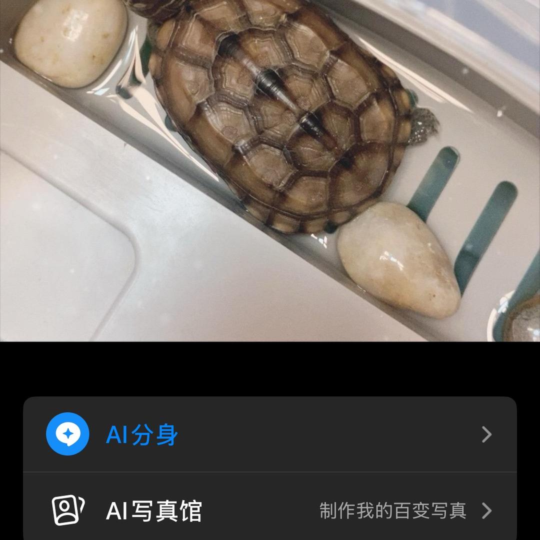 巨型乔西