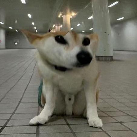 就不接呗