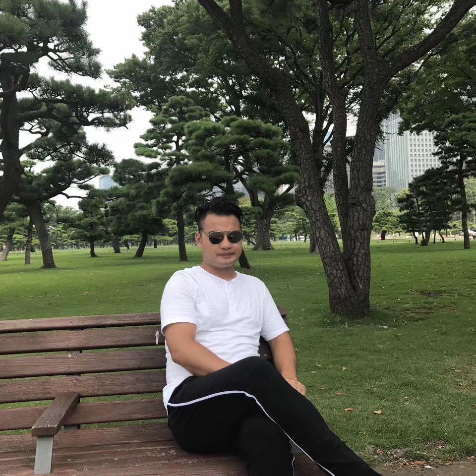 晓伟的树