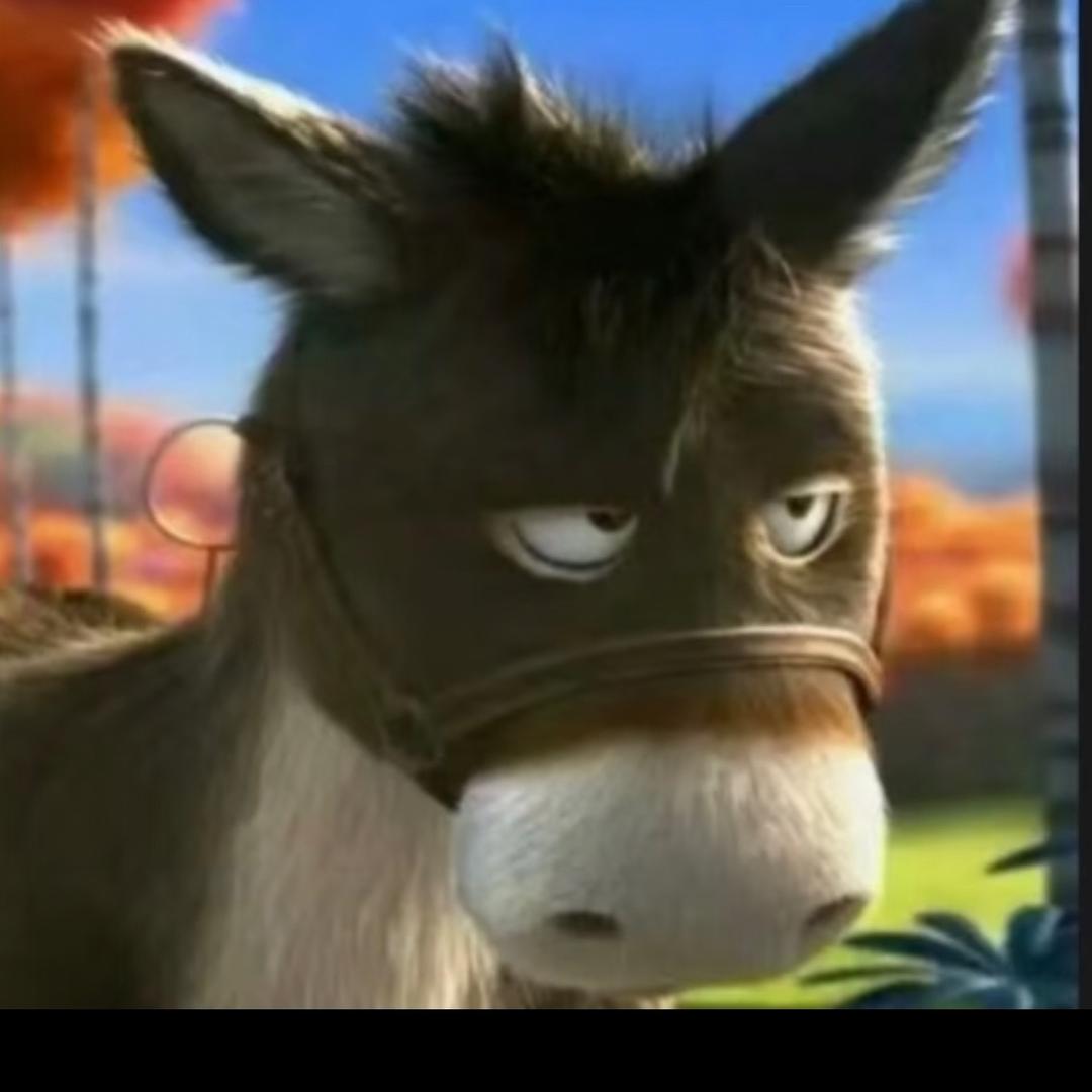 🫏进城务工的倔驴🫏