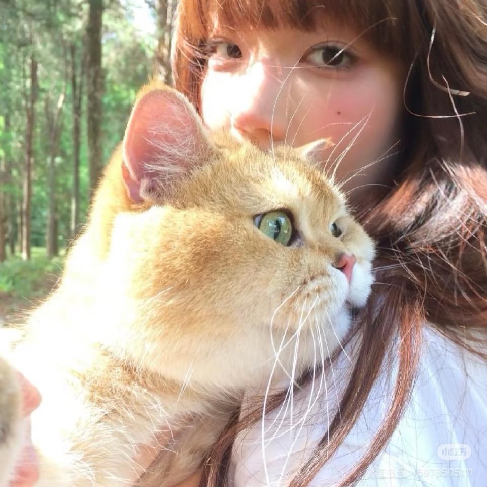 易木安.