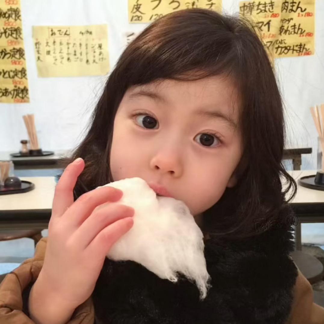 困困猫